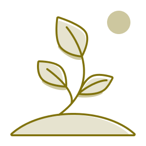 sprouting plant